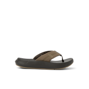 Brown/Tan