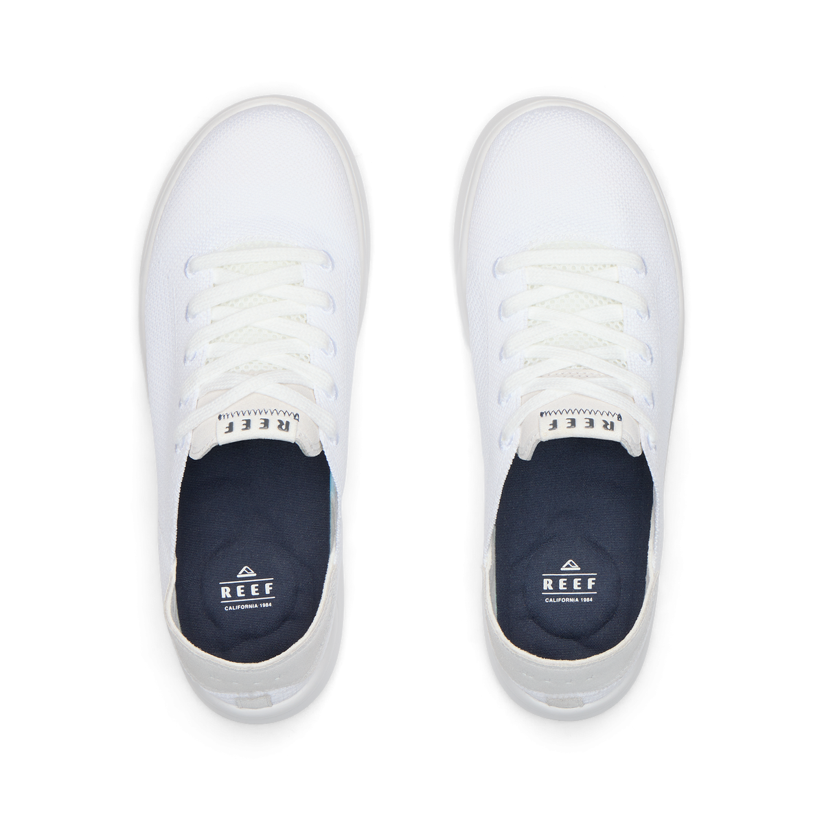 Swellsole Neptune - White - Top View