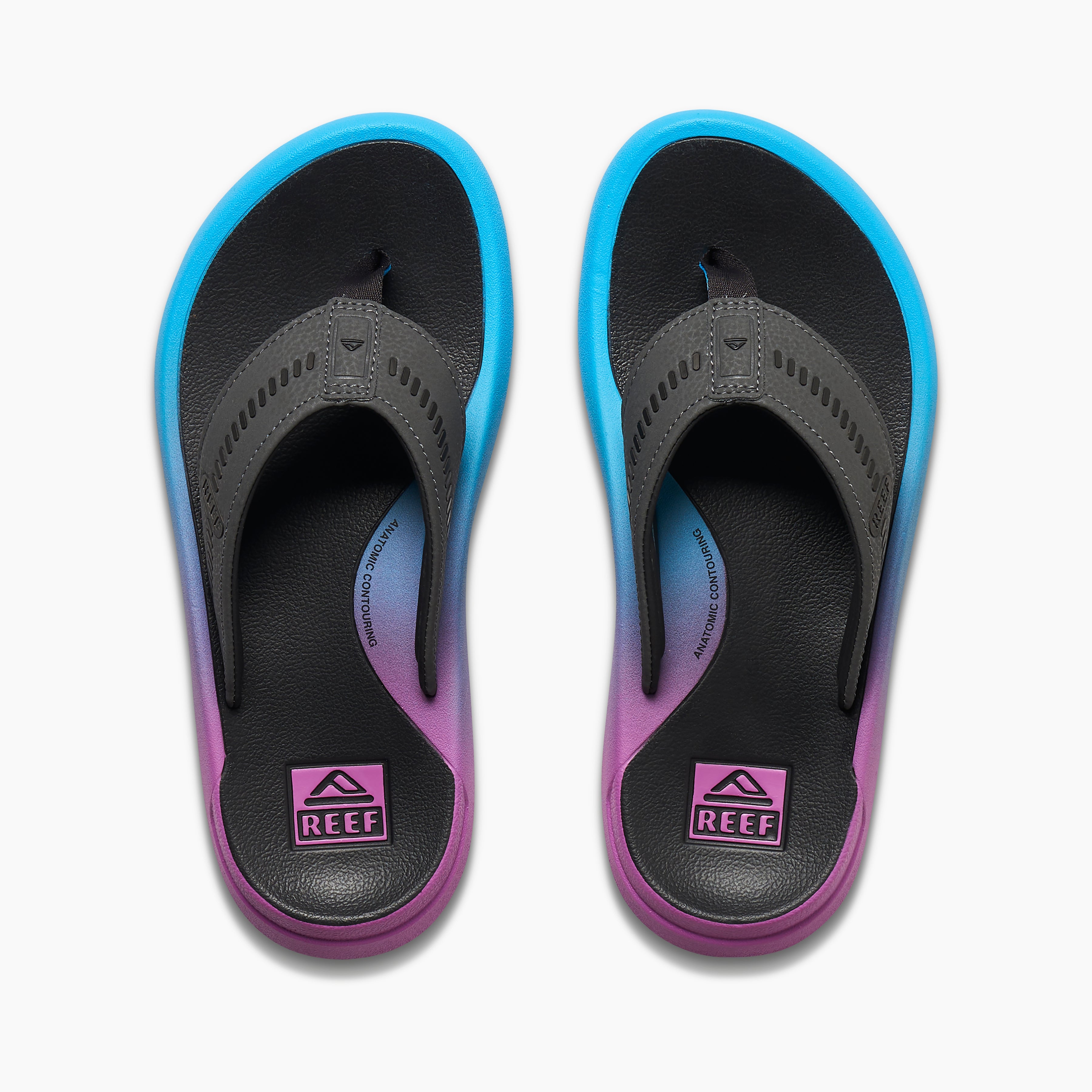 Cruiser - Grey/Purple/Blue - Top View