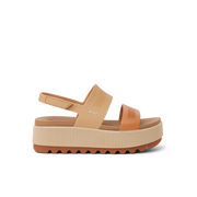 Brown Duo