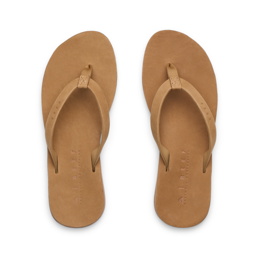 Ojai Classic Slim - Starfish - Top View