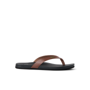 Chocolate/Black