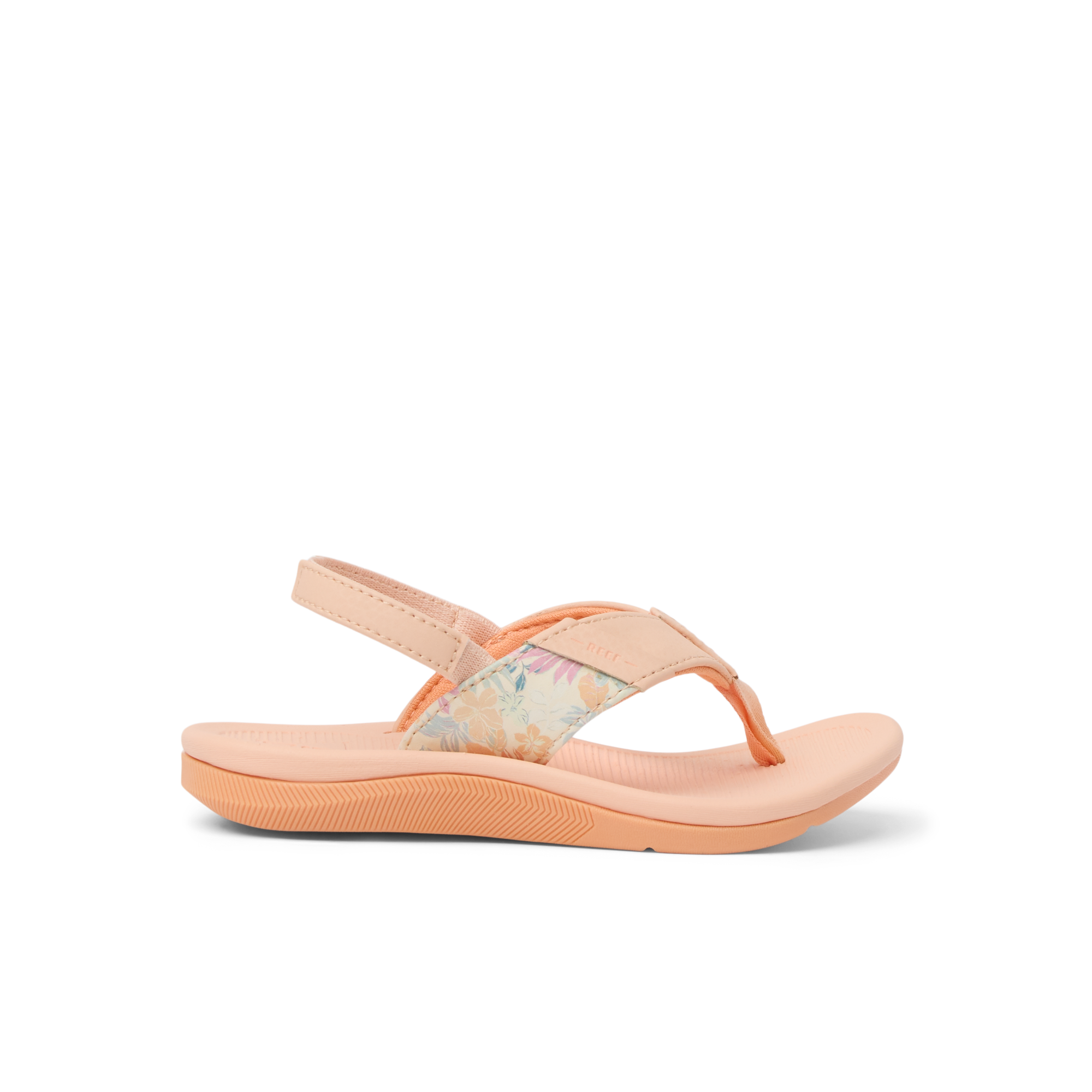 Little Santa Ana - Bellini - Right Side View