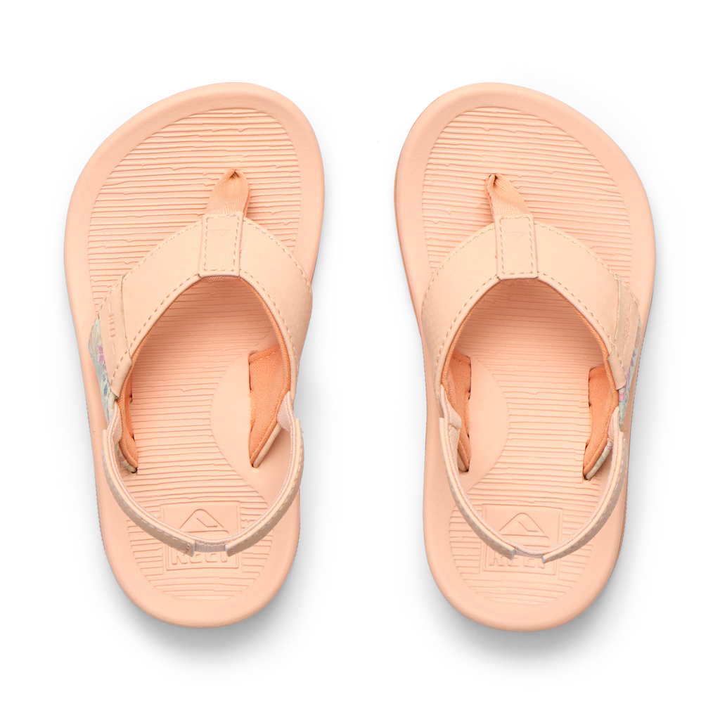 Little Santa Ana - Bellini - Top View