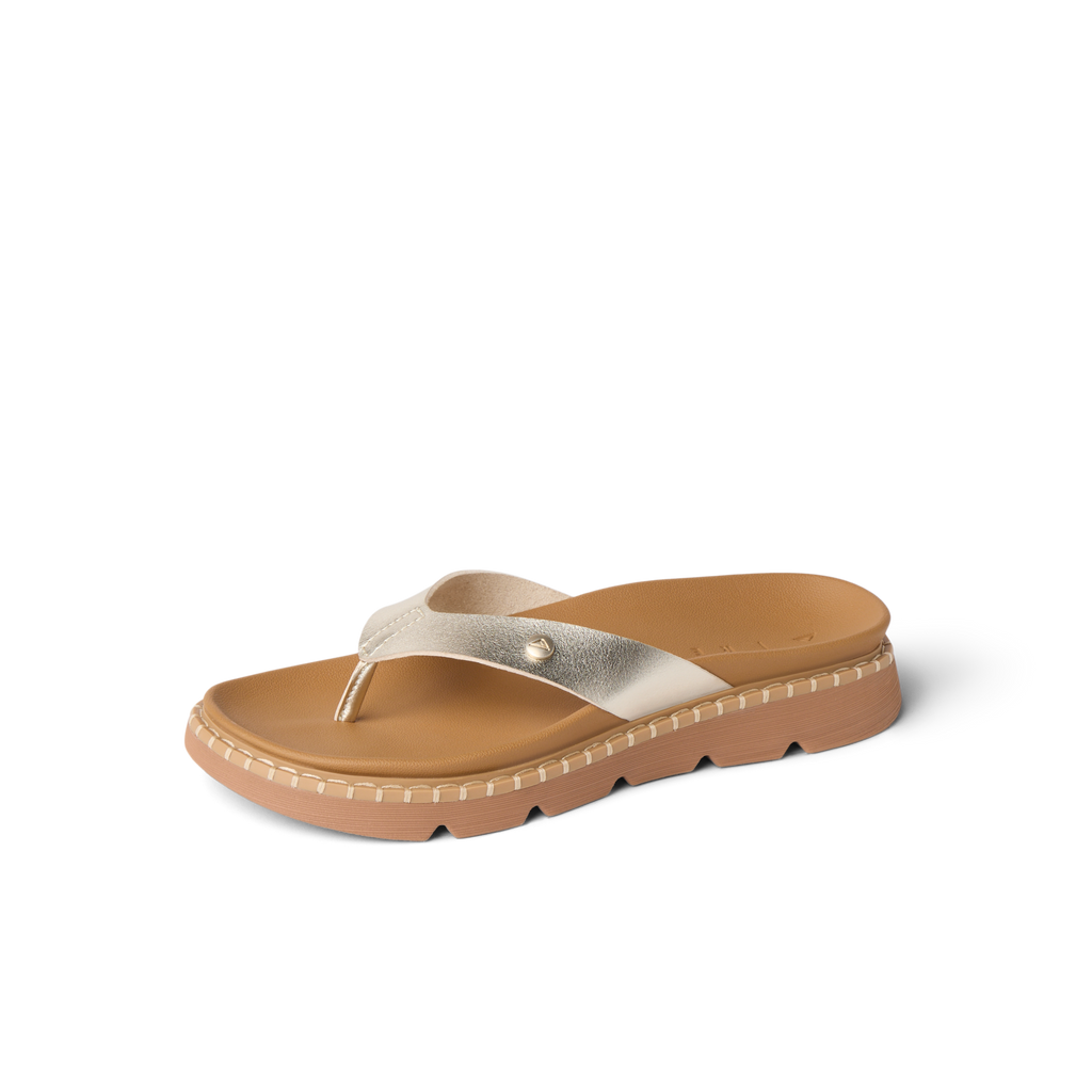 CJ9794