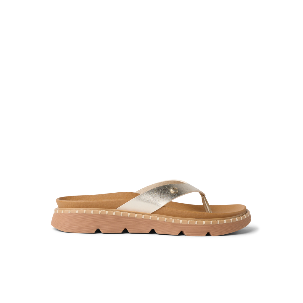 CJ9794