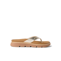 CJ9794