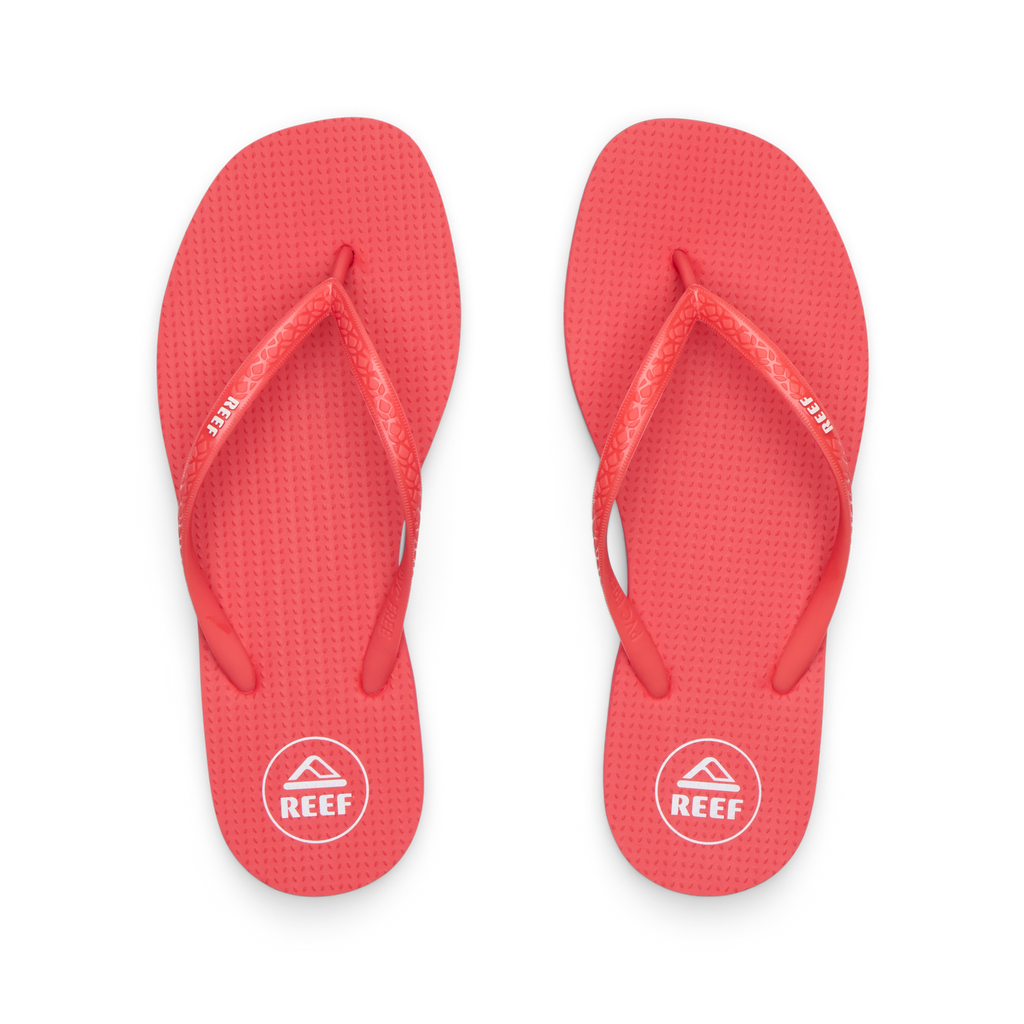 CK0313