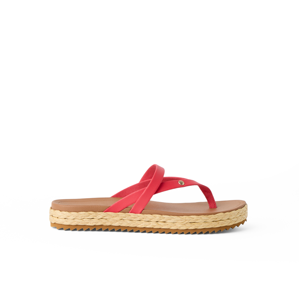 CK0319