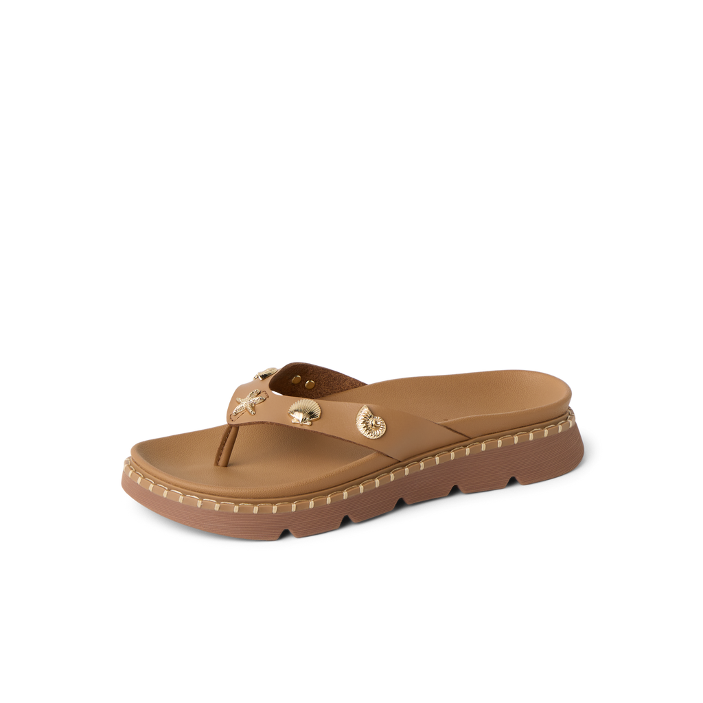 CK0366