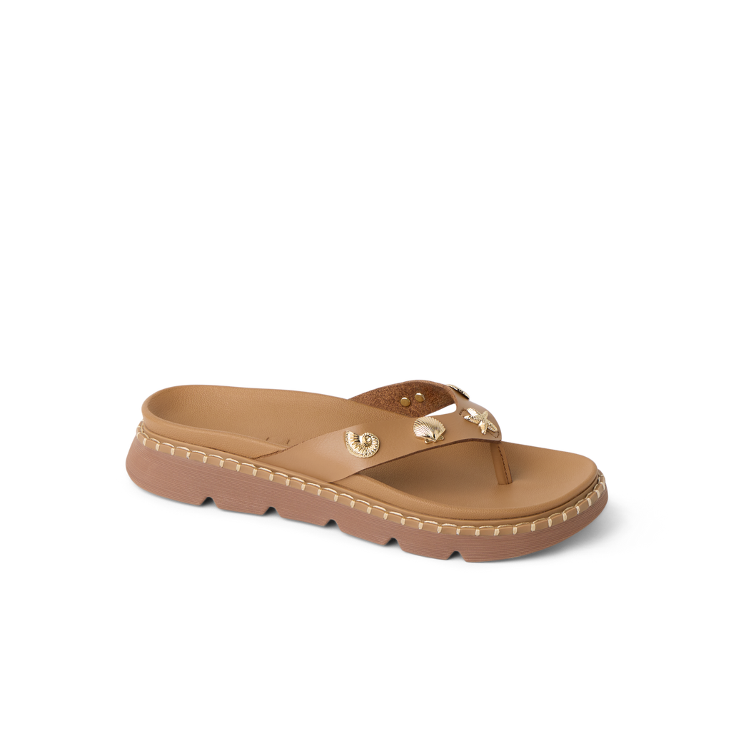 CK0366