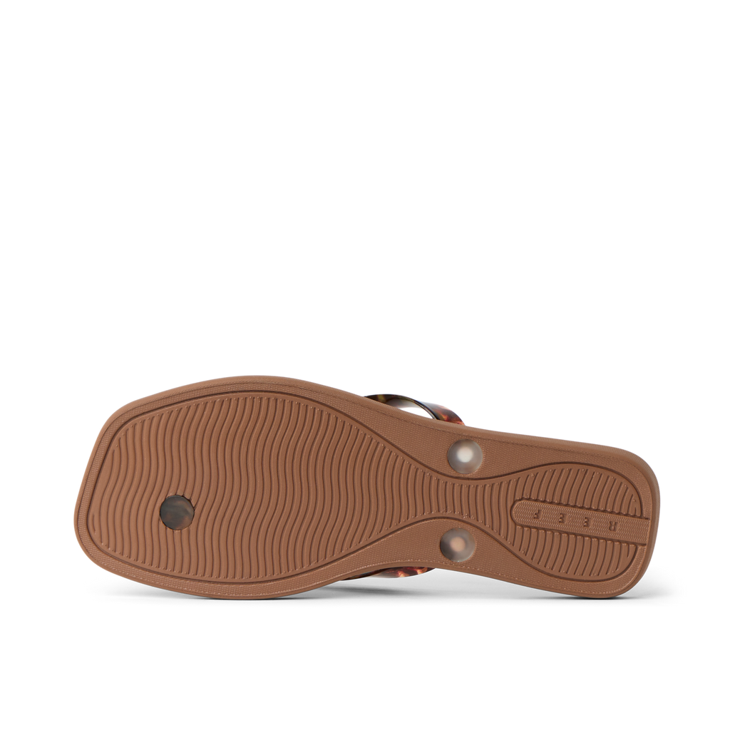 CK0485