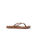 CK0491