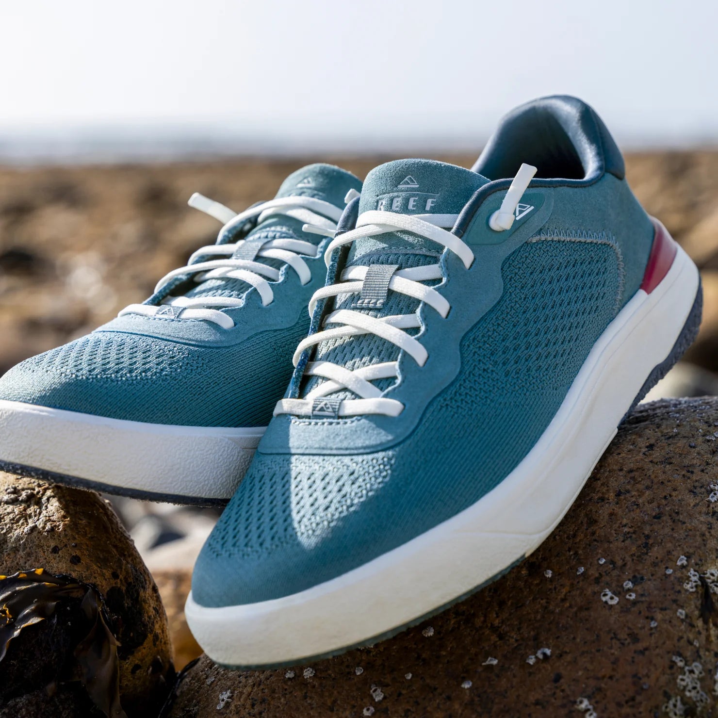 Close-up of Shoreline Del Mar men's sneakers facing forward, featuring breathable mesh and comfort cushioning.