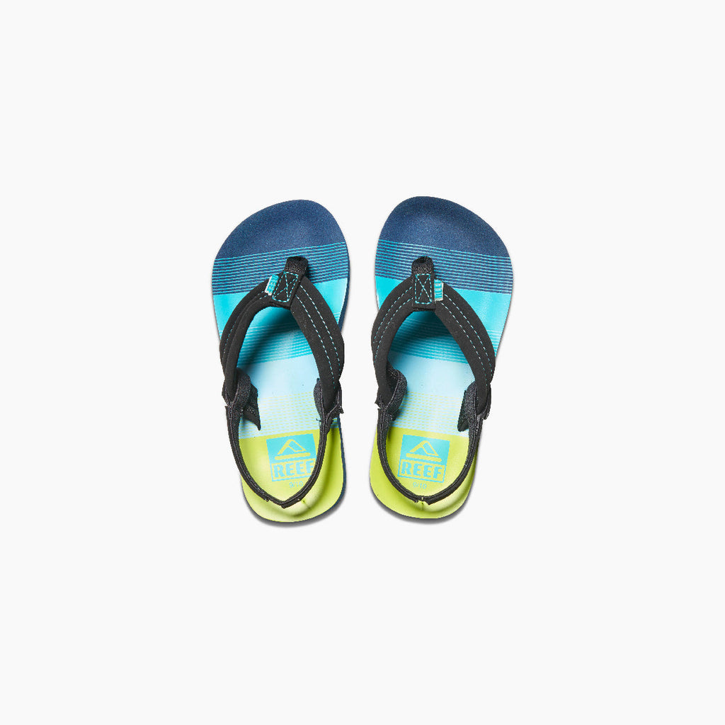 Little Ahi - Aqua/Green - Top View