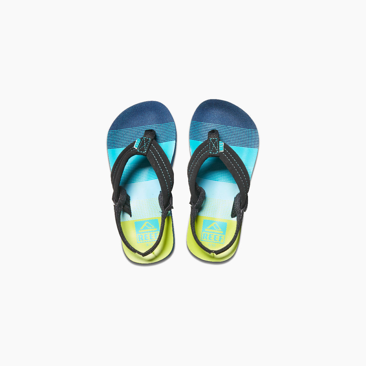 Little Ahi - Aqua/Green - Top View